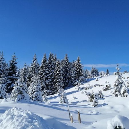 M&K Chalets Žabljak Exteriér fotografie