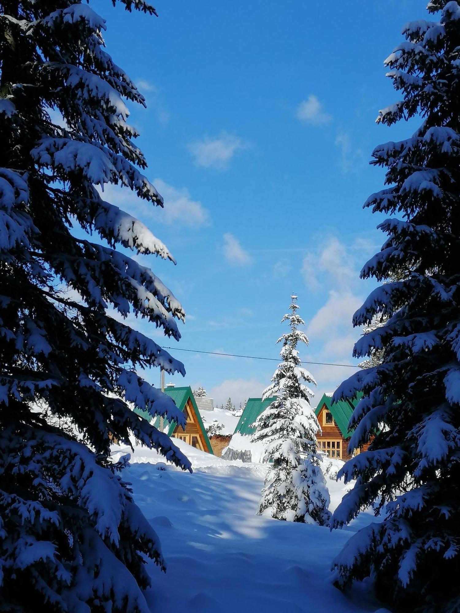 M&K Chalets Žabljak Exteriér fotografie