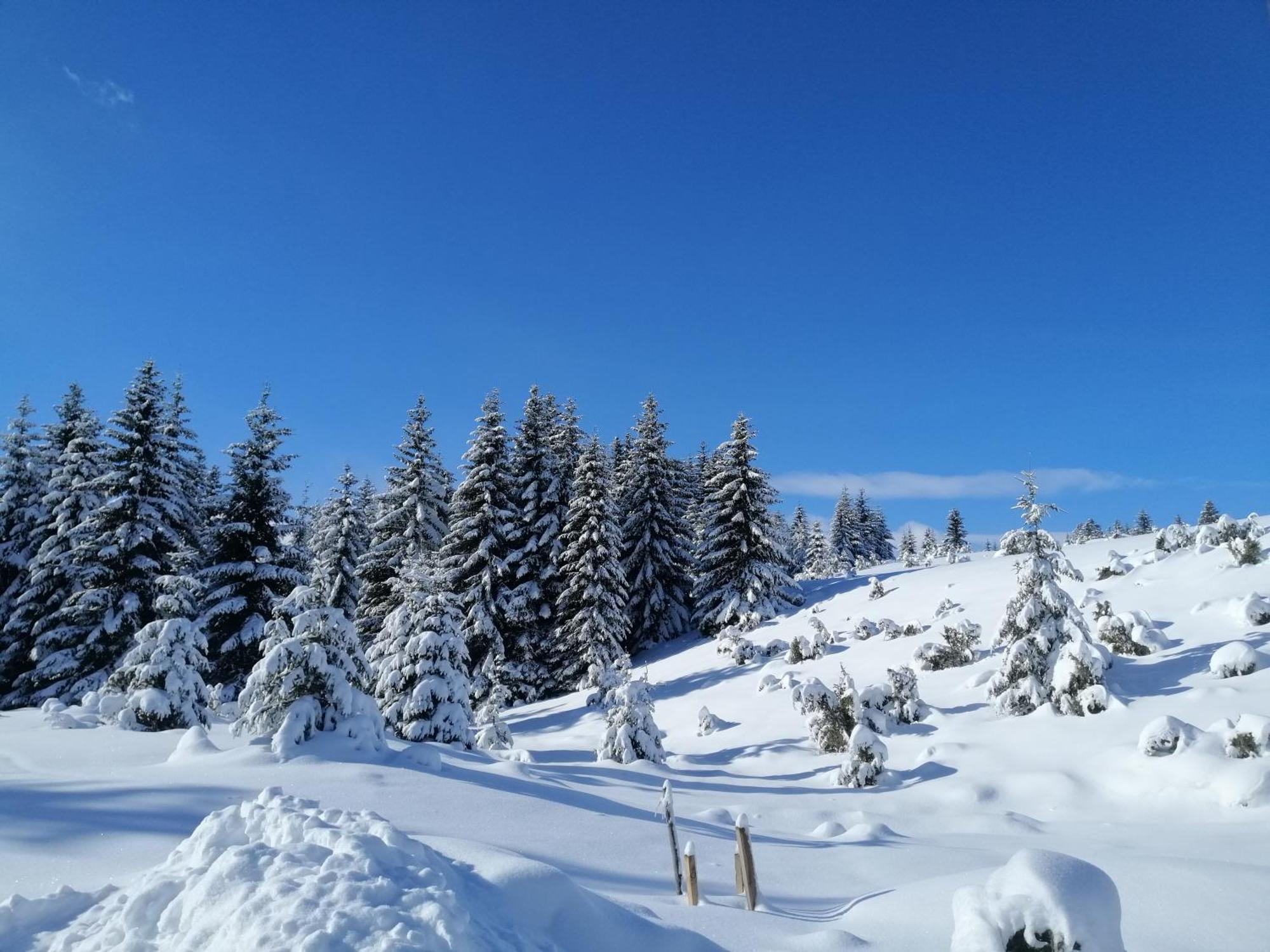 M&K Chalets Žabljak Exteriér fotografie