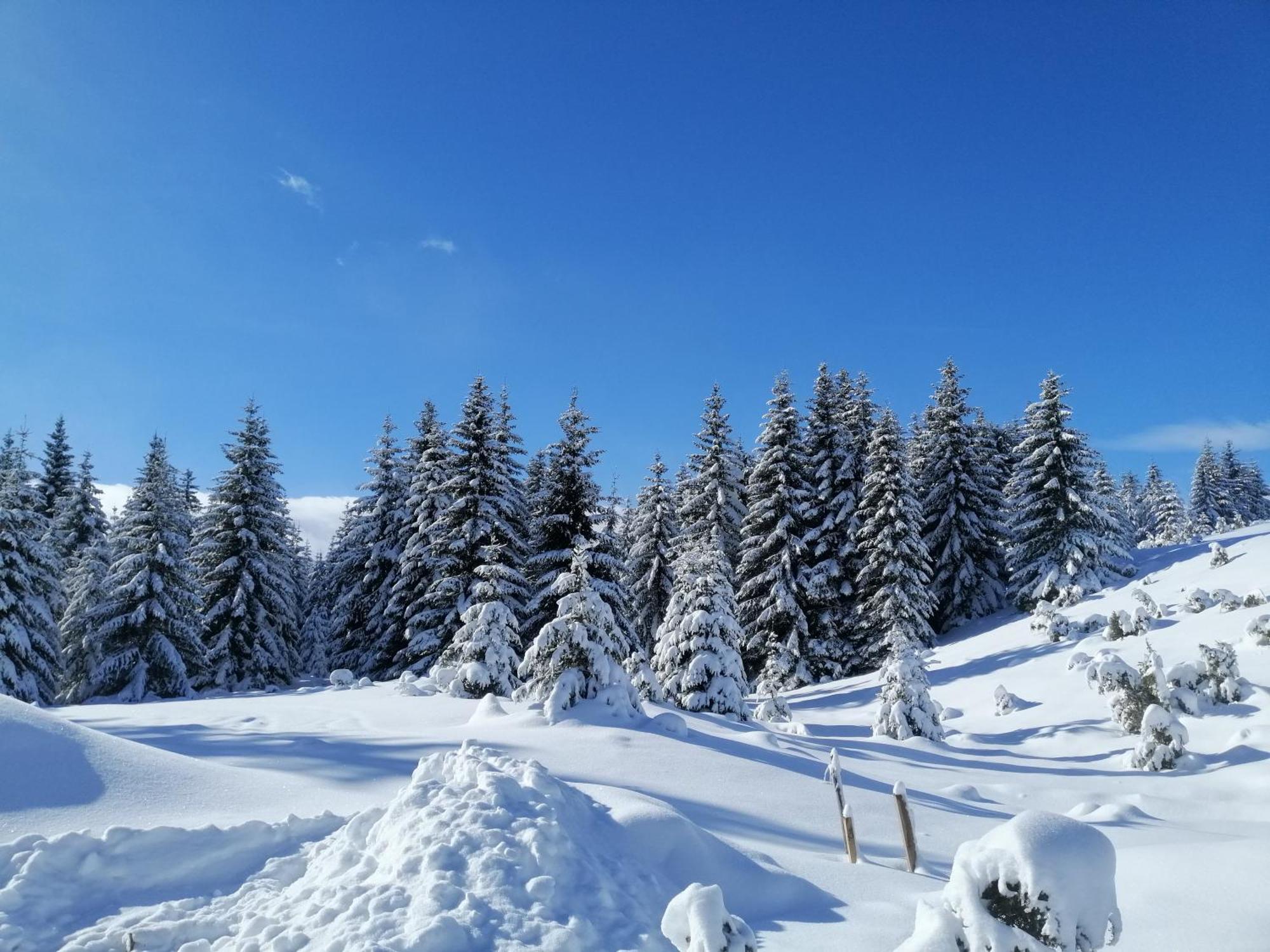 M&K Chalets Žabljak Exteriér fotografie