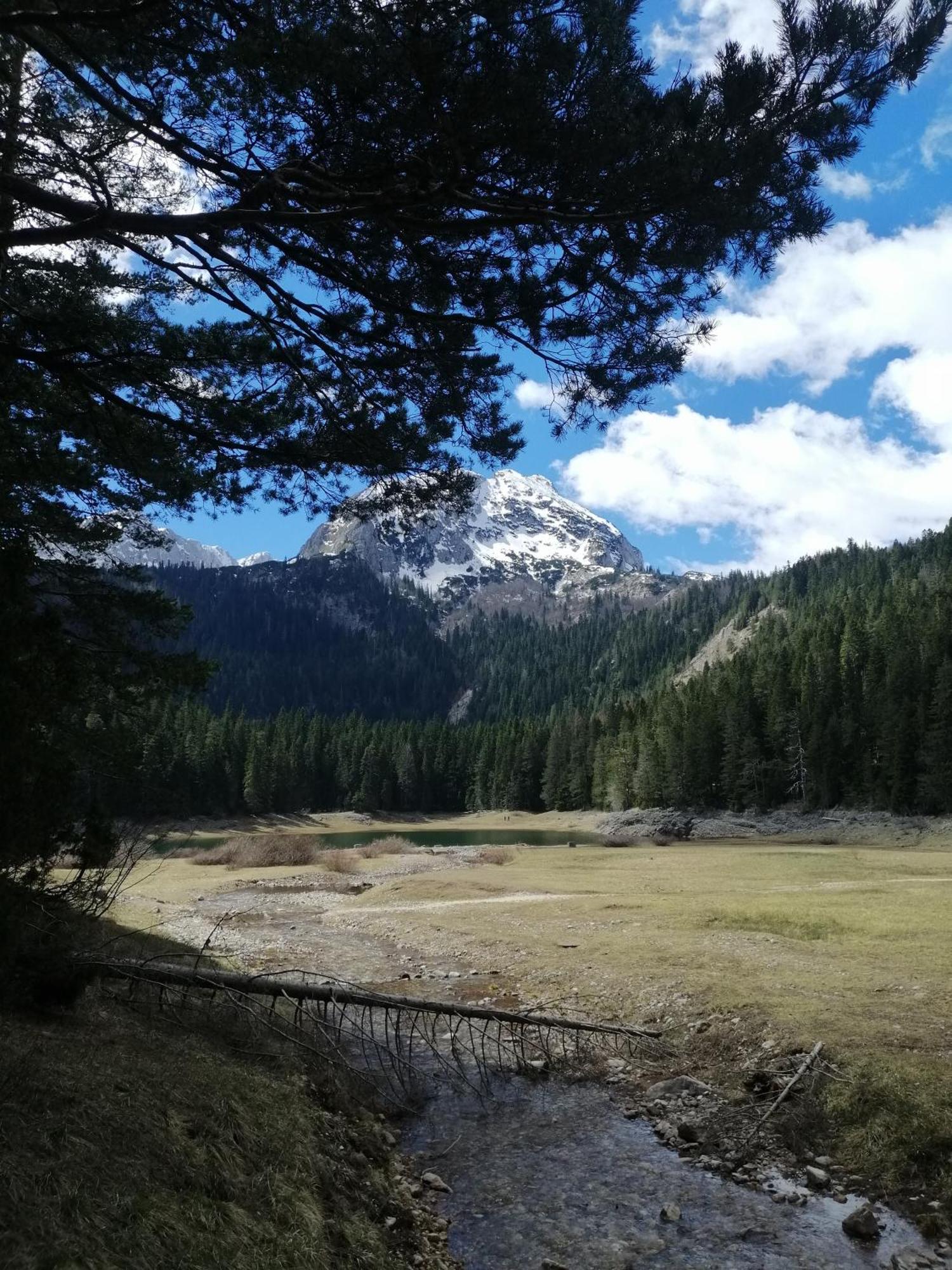 M&K Chalets Žabljak Exteriér fotografie