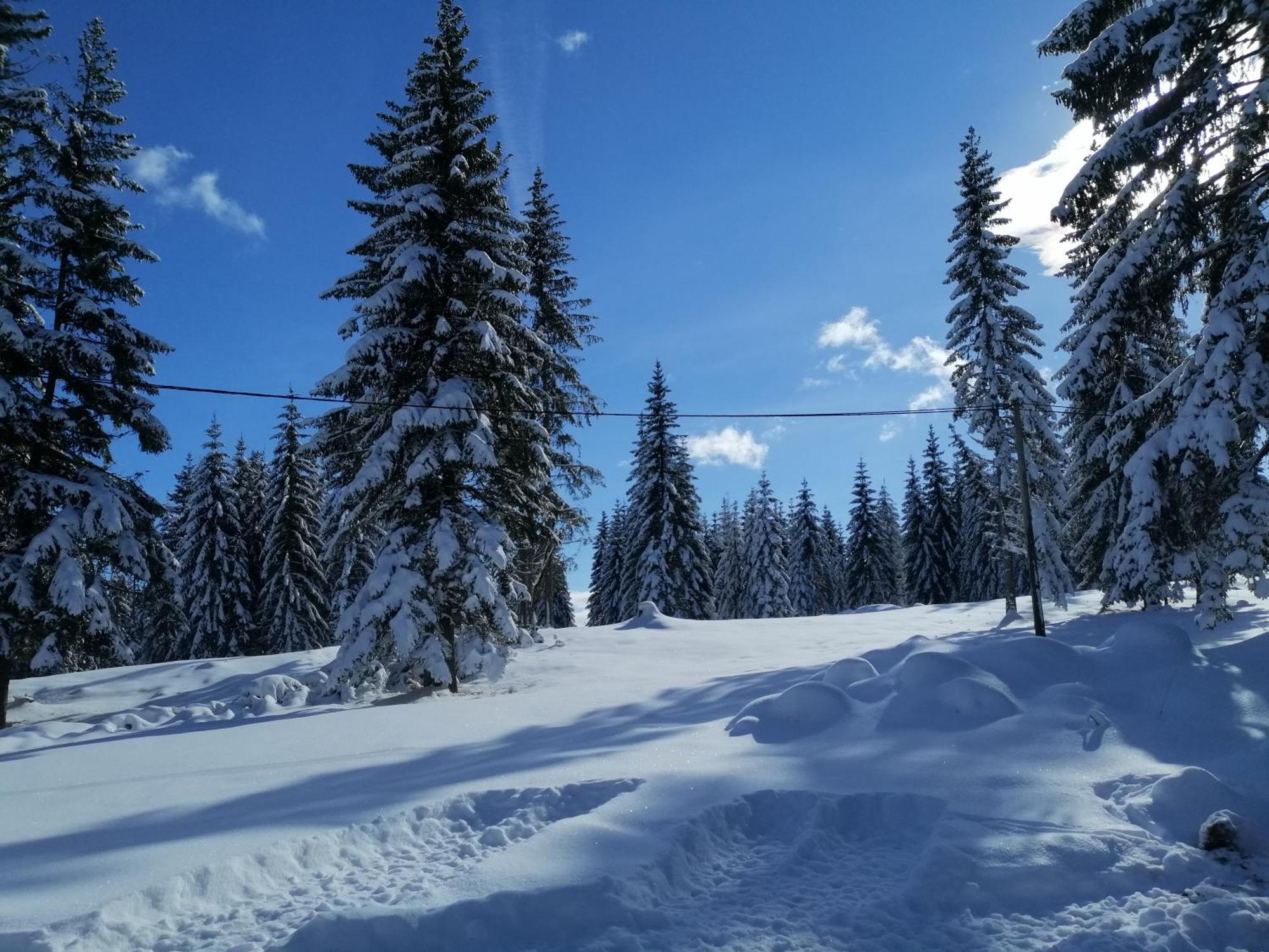 M&K Chalets Žabljak Exteriér fotografie