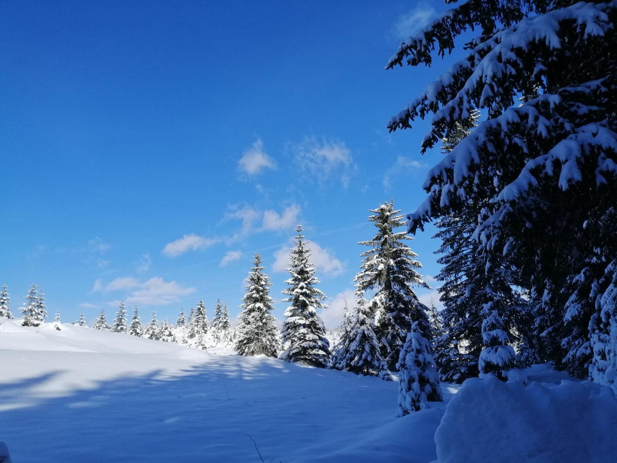 M&K Chalets Žabljak Exteriér fotografie