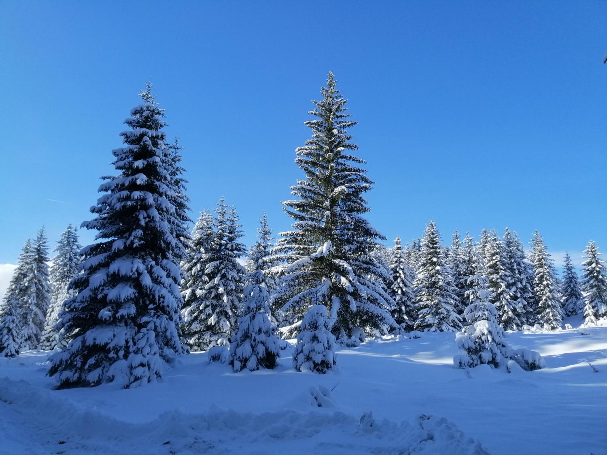 M&K Chalets Žabljak Exteriér fotografie