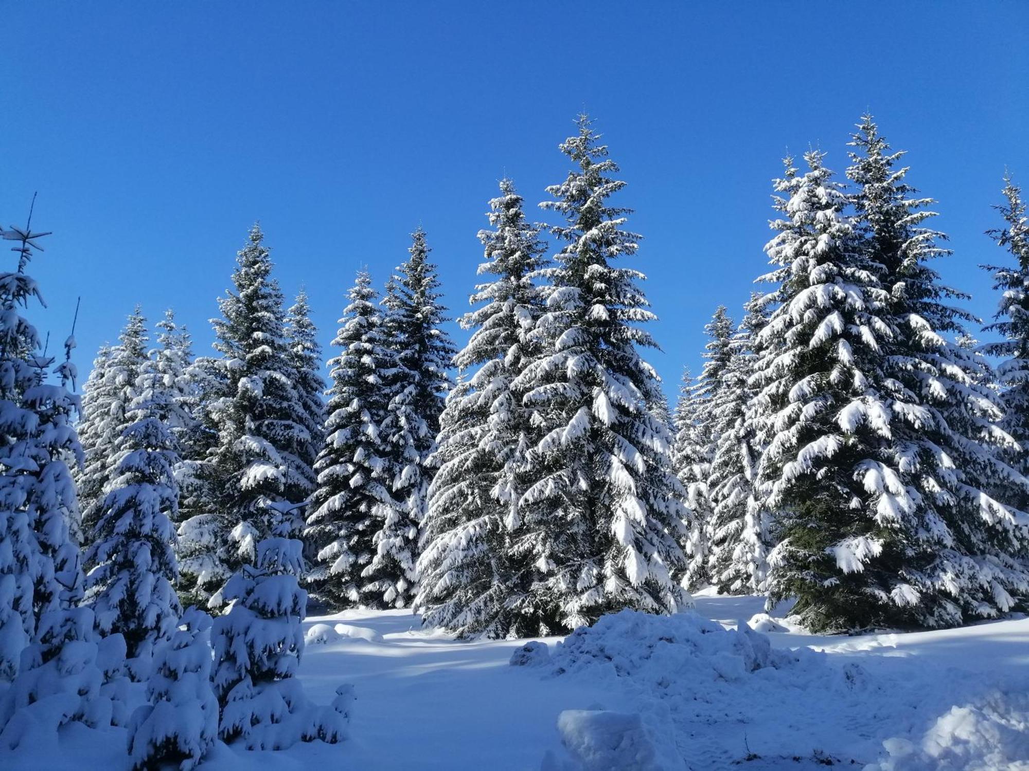 M&K Chalets Žabljak Exteriér fotografie